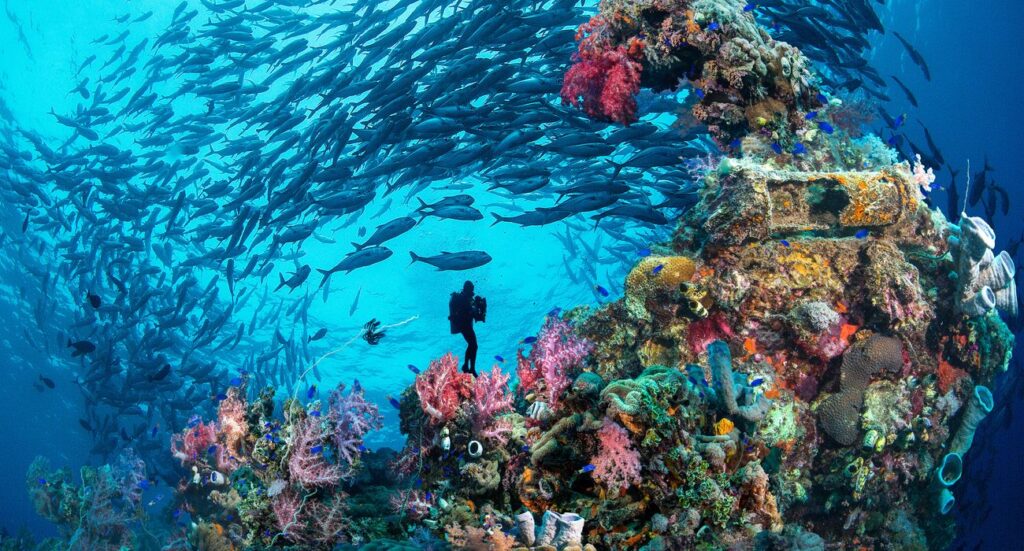 Diving in Truk Lagoon
