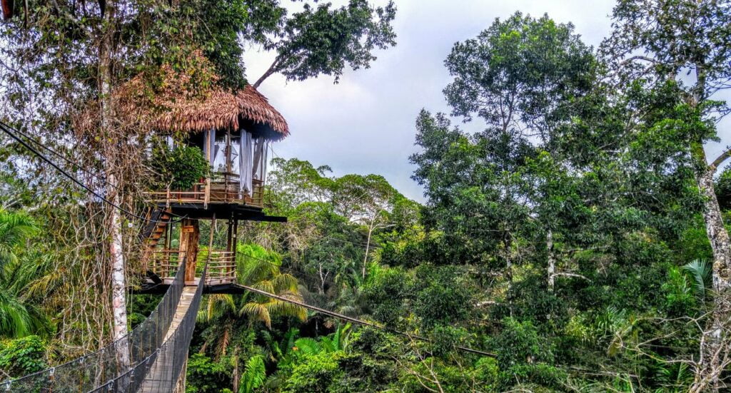 Treehouse Peruvian Amazon