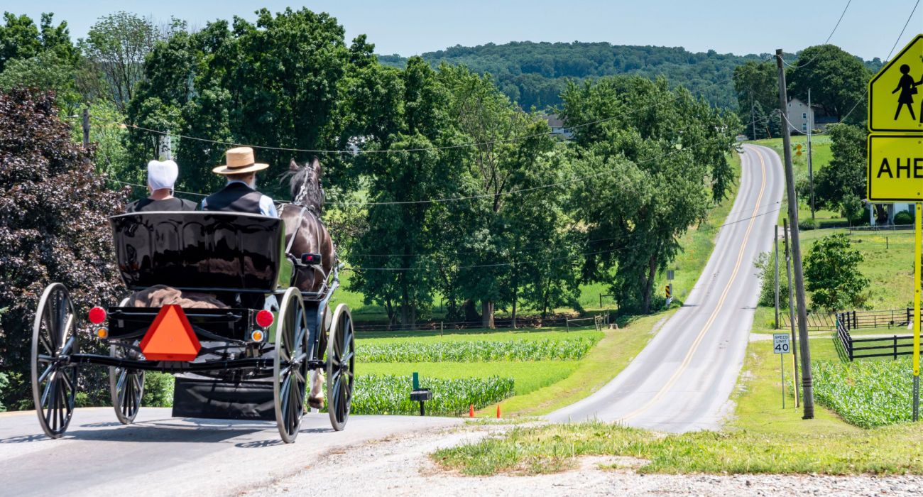 Amish Open Horse and Buggy