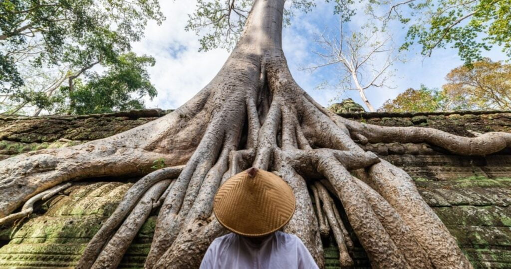 tourist-in-front-of-ancient-tree