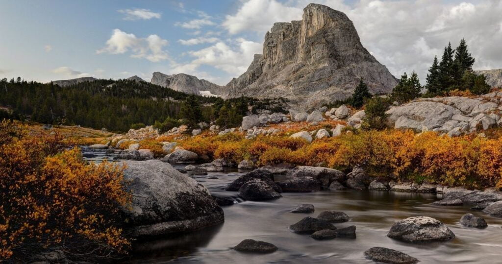 bridger-teton national forest