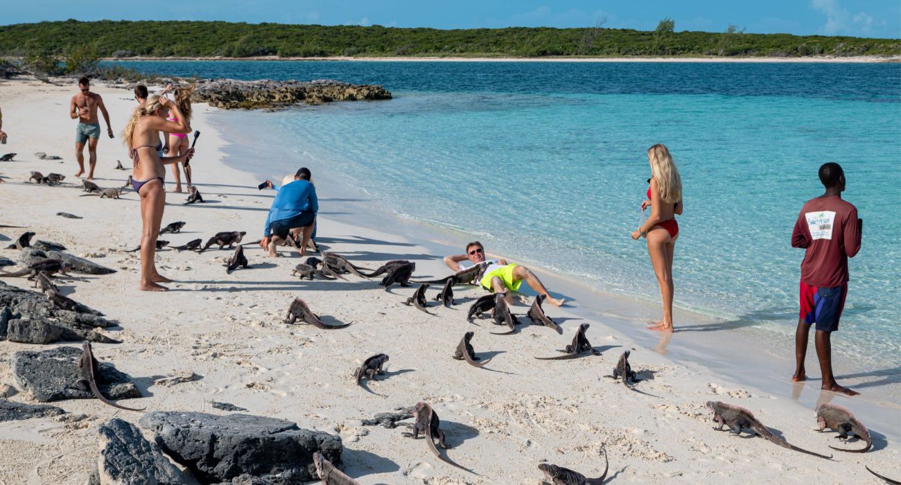 Turistas que visitam a praia de iguanas
