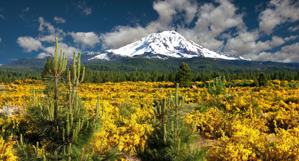 Landscapes around Mount Shasta