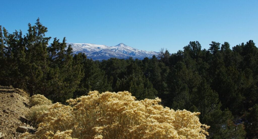 Arc Dome, Humboldt-Toiyabe National Forest
