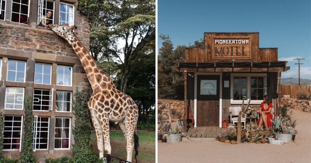 a giraffe greets a guest at giraffe manor, a woman takes a photo in pioneertown