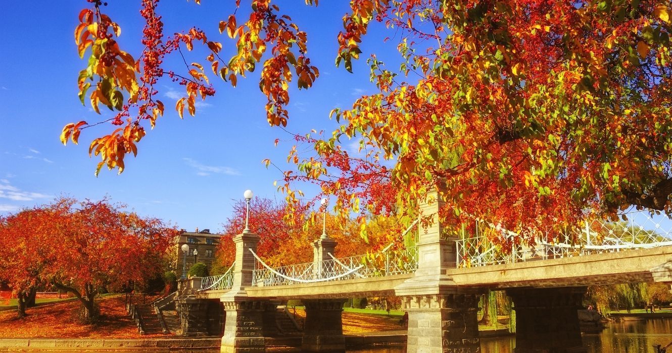 folhagem de outono em um parque em boston